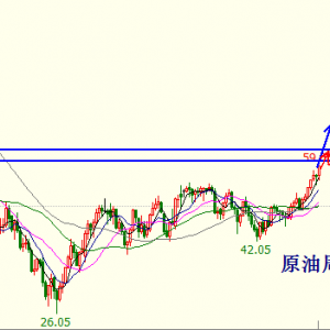 �׺��x������OPEC���h���ܷ����̓r����һ��