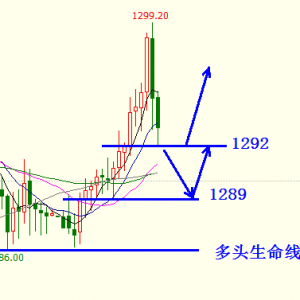 �׺��x���S�����A��10�c�Ҋ������ҹ��ʎ����