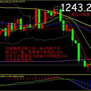 ����۽�12.13�S�𱩝q���������������