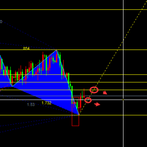 �ν���ؔ���������c�u�����S���|�׻�����ԭ����ʎ�ޏͣ�