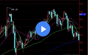 �F؛�S����y K�����g����