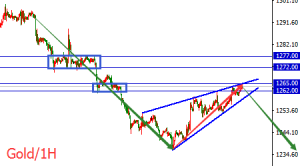 �����t���S��С����q�����ݣ�Ш�����^�����T��