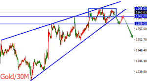 �����t�������[���o�K�������S�����q�y�q�Զ���