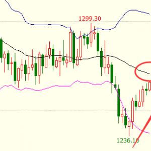 �׺��x��12.20�������_���A�Σ��S����^�j������l