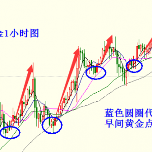 �׺��x��12.21�S����^�o�����l��ԭ�������΅^�g��ʎ