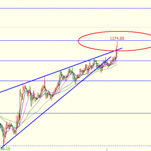 �׺��x�� 12.22�S�����g�����ϝq�����г��еĿՆ���ô�k��