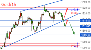 �����t���S��W�P�����m�������PעШ����܉֧��