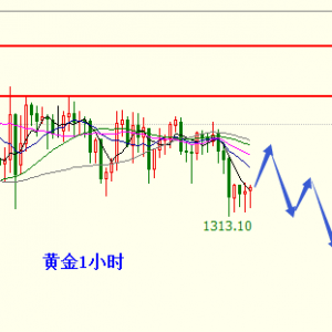 �׺��x���S��W�P���������g��������c�������h