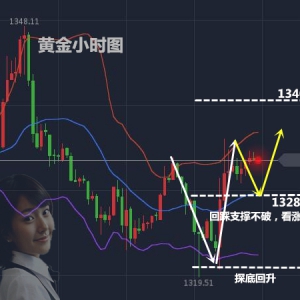 �_������4.9���g�S��������ԣ�1320���ƈԶ����q