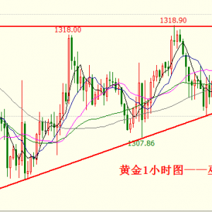 �׺��x���S������խ����ʎ���ȴ���Ϣ����Mһ��ָ��