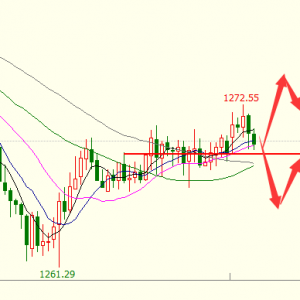 �׺��x���S��Ī�ѷ��������D�����W�P�Pע1269֧��