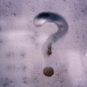 ��������S����P(p��n)�_�߻��䣬�̾�������ȥ�ٸ߿�