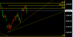 �ν���ؔ���S�����֧�Σ�����ѭ�h��ȫ���������ȣ�