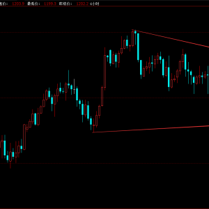 9.12��Ԫ�S������V������ ���ô��˲��ܷ�ٳ�NAFTA�f�h����������ӭ������������͝q ...