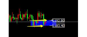 �ν���ؔ���S���^(q��)��(n��i)���������������׃����