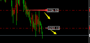 �ν���ؔ���S�����{��̽�����m��������