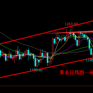 �׺��x��11.19�S�𿴶಻׷�࣬ԭ���ȿ�����̽��