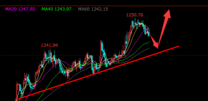 �׺��x���S�����1244�Ӷ࣬���P����ʎ����