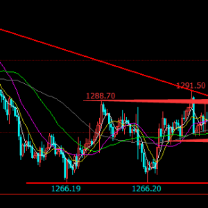 �׺��x������������S���ܕr�gҎ��ȫѭ�h