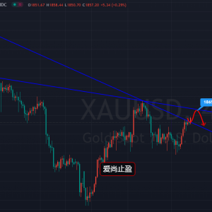 ����ֹӯ���S��ͻ�������m���Ճ�����1865�գ�