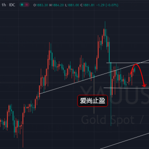 ����ֹӯ������׃���������S��1886���ƿգ�