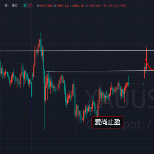 ����ֹӯ���S����U�����أ��س�1885�^�m�࣡