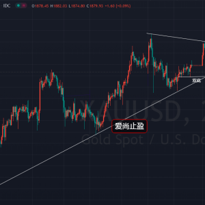 ����ֹӯ���S����������ʎ����ס1869�ȶ̶࣡