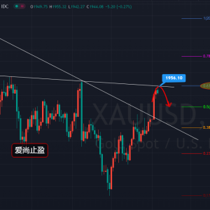 ����ֹӯ���S���?q��)������c(di��n)��1955�Lԇ�о��գ�