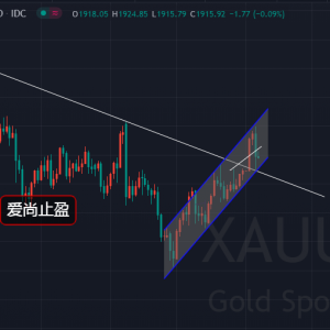 ����ֹӯ���S��1955�ɹ�ץ픣��Ճ�(n��i)�S����ʎ��