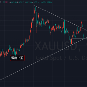 ����ֹӯ���S�����g�m(x��)���Ƶͣ���󷴳�1841�գ�