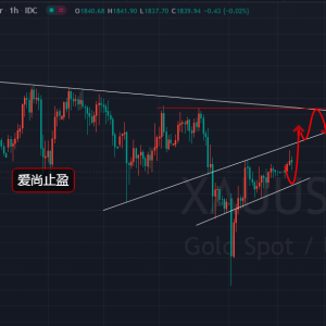 ����ֹӯ�����r̽���߻������Ճ�(n��i)�ȶ��ٽӿգ�