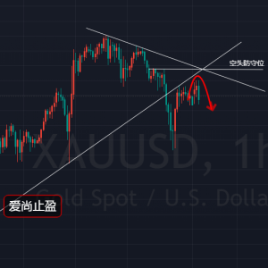 ����ֹӯ�����D��̖�Ѵ_�J���S��1960ֱ�ӿգ�