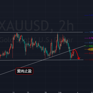 ����ֹӯ�����y���������S�����վ�څ���Lԇ����