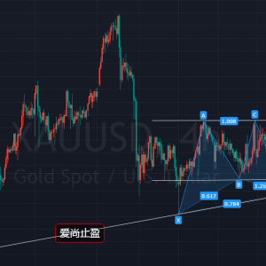 ����ֹӯ�����g������׷����1817֮�Ͽ����飡