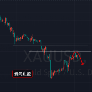 ����ֹӯ������Ӌ�������S�������g�����fڅ����