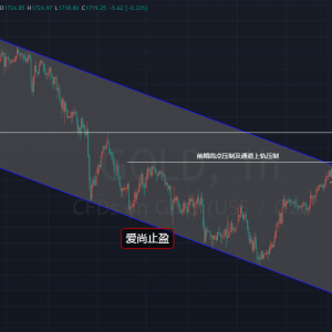 ����ֹӯ���S���վ����N�^�������л�������