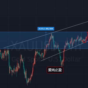 ����ֹӯ���S��ʮ������ʎ��������������x��