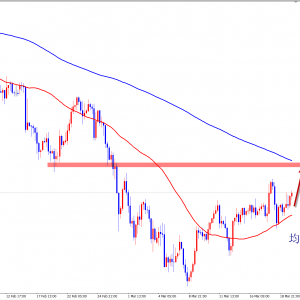 ���������S����ʎ�����������^�m�Ͷ࿴�q