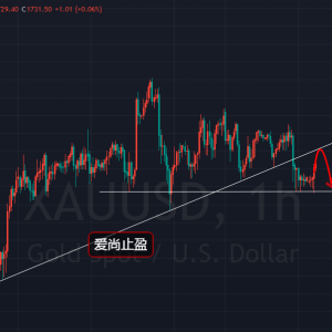 ����ֹӯ���S����ʎ���f���^(q��)�g�߹�������