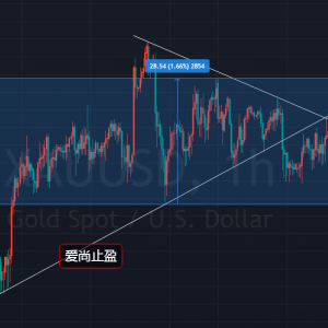 ����ֹӯ���S�����m(x��)��ʎ���Ճ�(n��i)�^��������