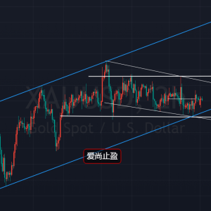 ����ֹӯ���S�����f����ʎ���^(q��)�g��(n��i)�߹�������