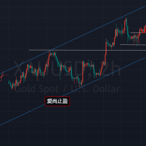 ����ֹӯ��������������S�𣬶��^��ӭ���죡