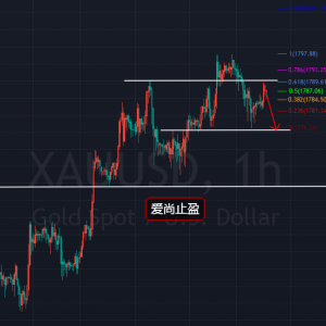 ����ֹӯ���S��̽���߻�����1789���ղ��m(x��)����