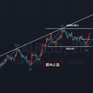 ����ֹӯ���S����̽�׻�������ˮ�X�Pע1780��