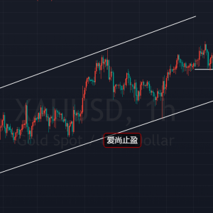 ����ֹӯ�������������ُ���S����푿��^����