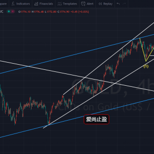 ����ֹӯ���S�������ʎ���f������1770���m����