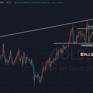 ����ֹӯ���վ��B���ʮ�֣�����ѭ�h��������