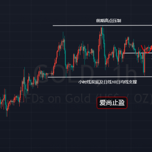 ����ֹӯ���S��̽���߻������վ������ǿ��q��