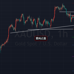 ����ֹӯ���S�����������������Ճ��S��߀��һ����