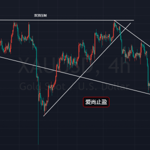 ����ֹӯ���S�����g��ͻ�������س��迴�࣡